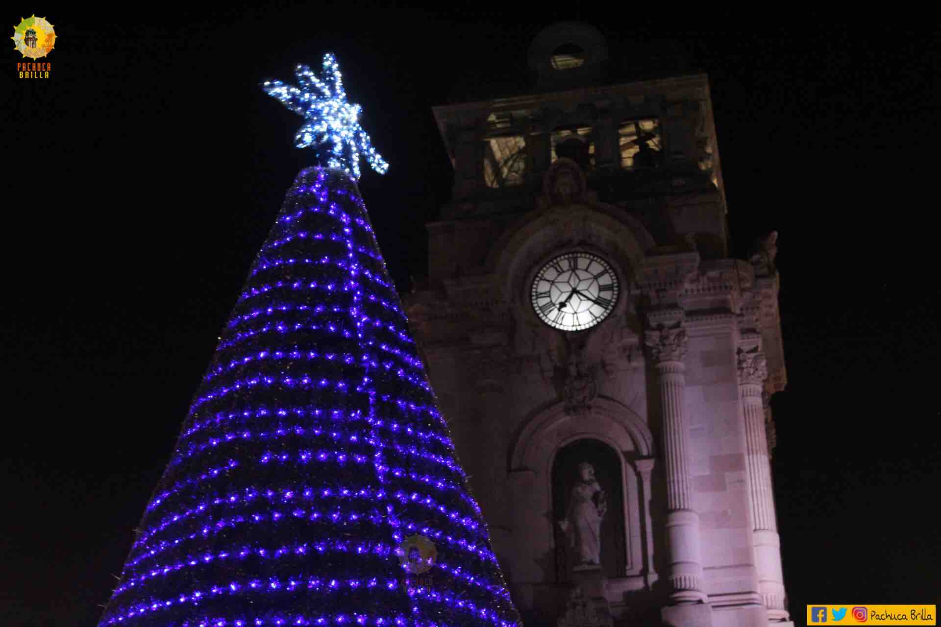 Se abren centros de acopio y reciclaje de árboles de navidad en Pachuca