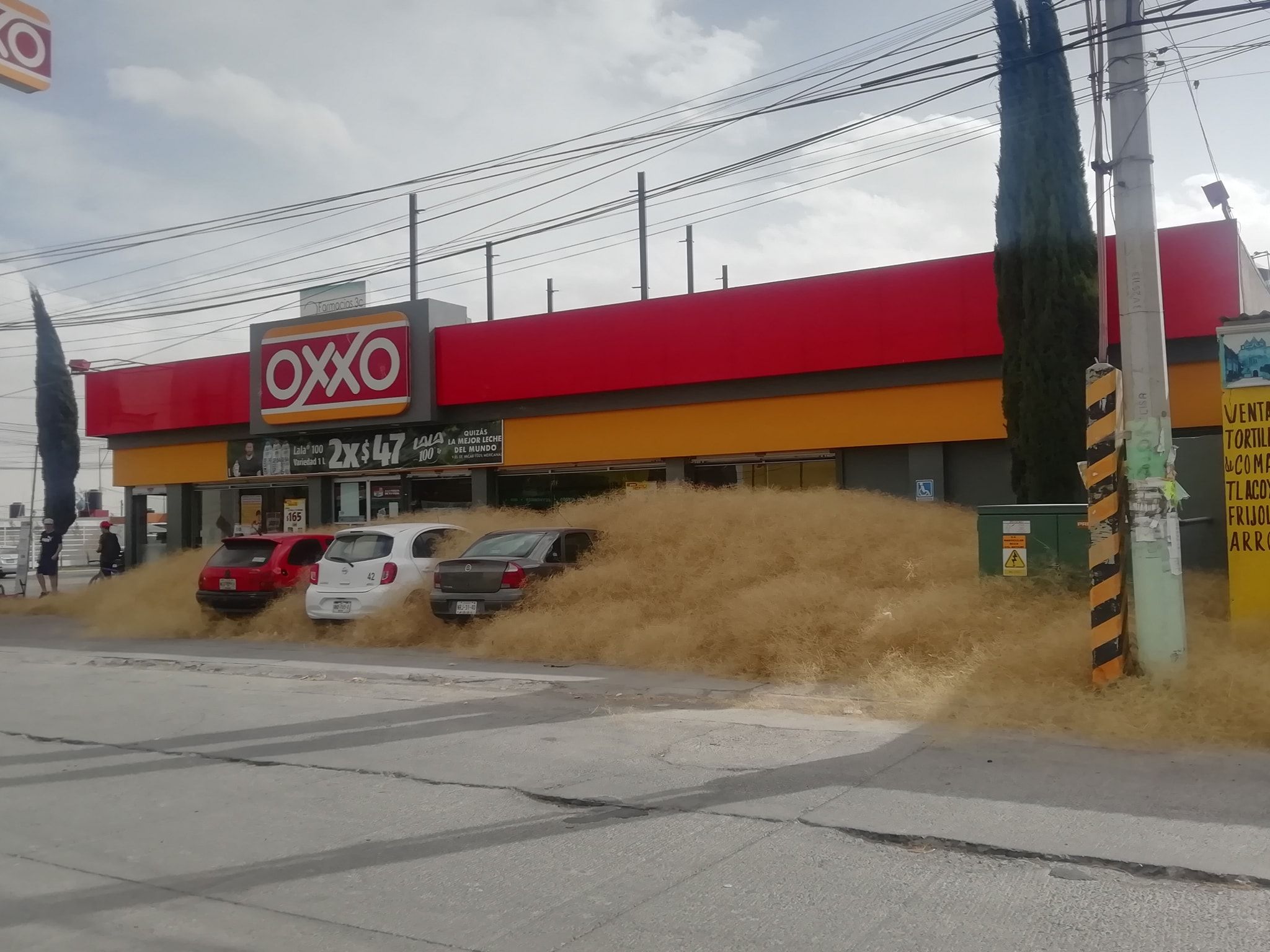 Hidalgo con afectaciones por fuertes rachas de viento