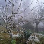 Frío amanecer en Hidalgo: -3.1 grados en Zimapán y -2 en Cuautepec