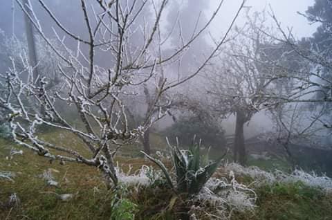Frío amanecer en Hidalgo: -3.1 grados en Zimapán y -2 en Cuautepec