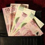 Bacterias de órganos reproductores, las que más tienen los billetes: estudio