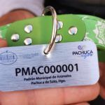Ya puedes registrar a tus perros y gatos en Pachuca