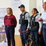 Pachuca cuenta ya con Padrón municipal de mascotas