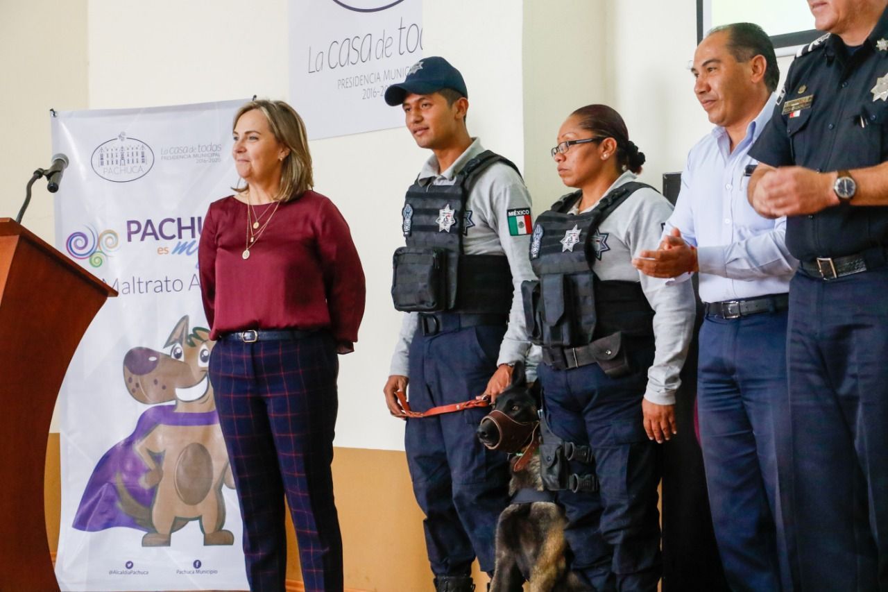 Pachuca cuenta ya con Padrón municipal de mascotas