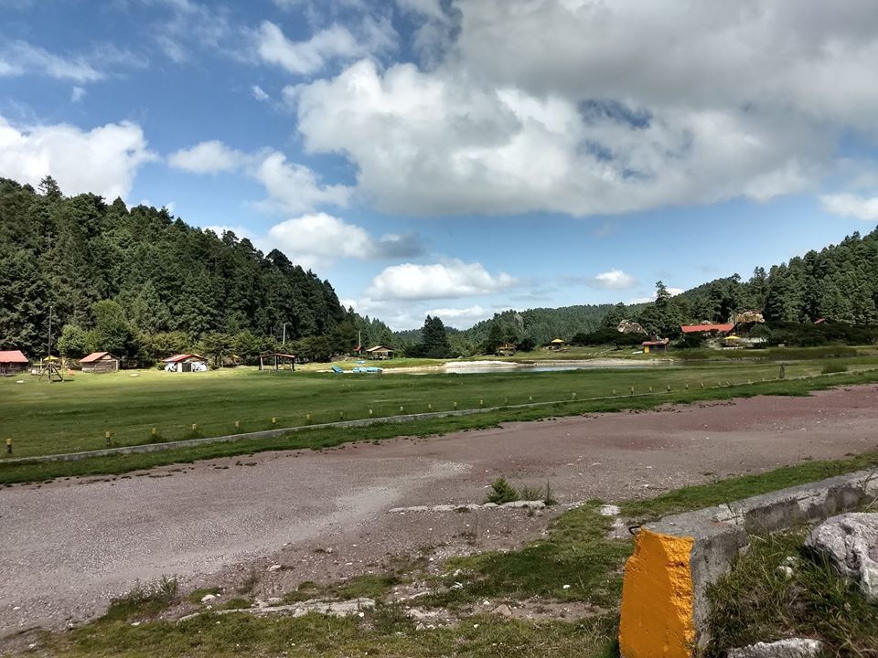 el cerezo