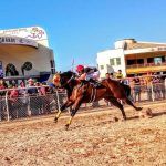 Carrera de caballos termina en tragedia en Atitalaquia