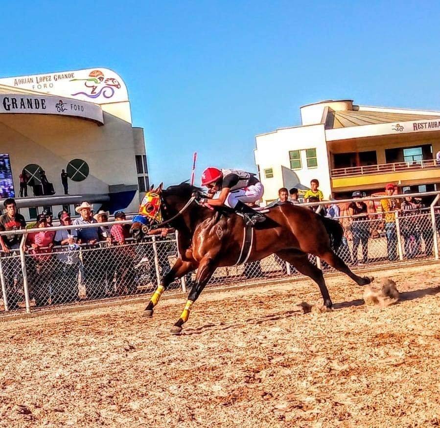 Carrera de caballos termina en tragedia en Atitalaquia