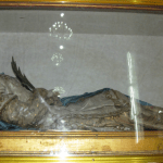 Santa Columba, la momia que resguarda el convento de San Francisco en Pachuca