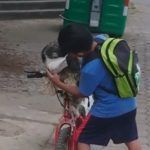 Niño le pone cubrebocas a su perrito para salir a la calle y se vuelve viral