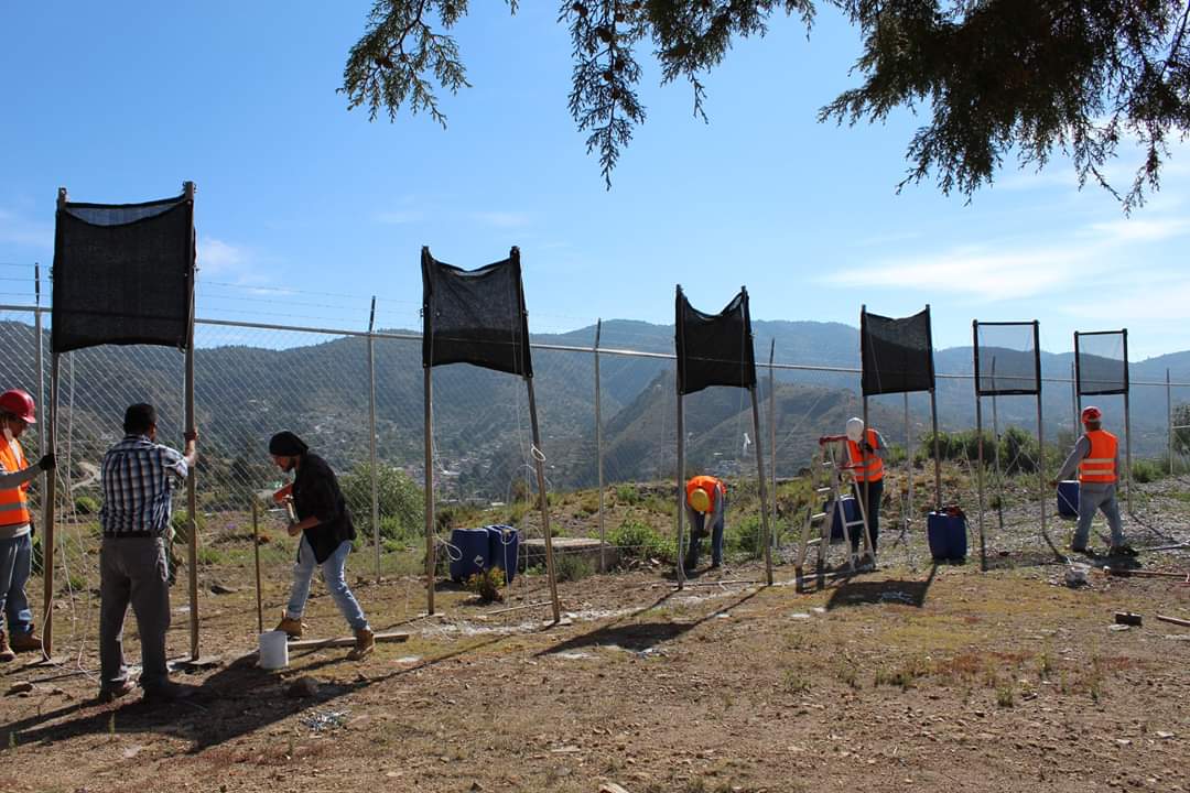 Implementan captadores de niebla como suministro de agua en la Ruta Arqueológica Minera