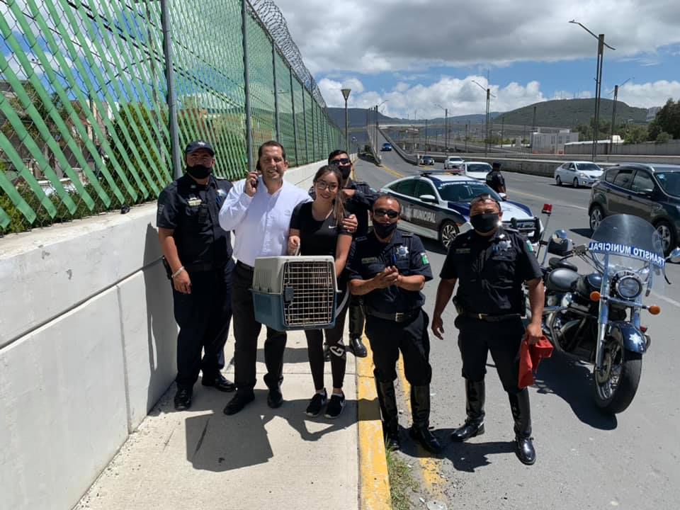 Rescatan policías municipales a un gatito atrapado en auto