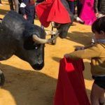 Niños toros