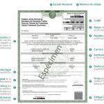 Trámite de registro de título y expedición de cédula profesional será en línea
