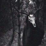 Vive la experiencia de Terror en Huasca