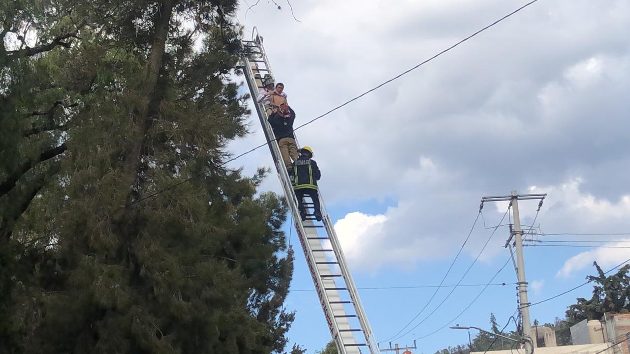 Tras más de dos horas, bajan a sujeto que amenazaba lanzarse en Parque Hidalgo