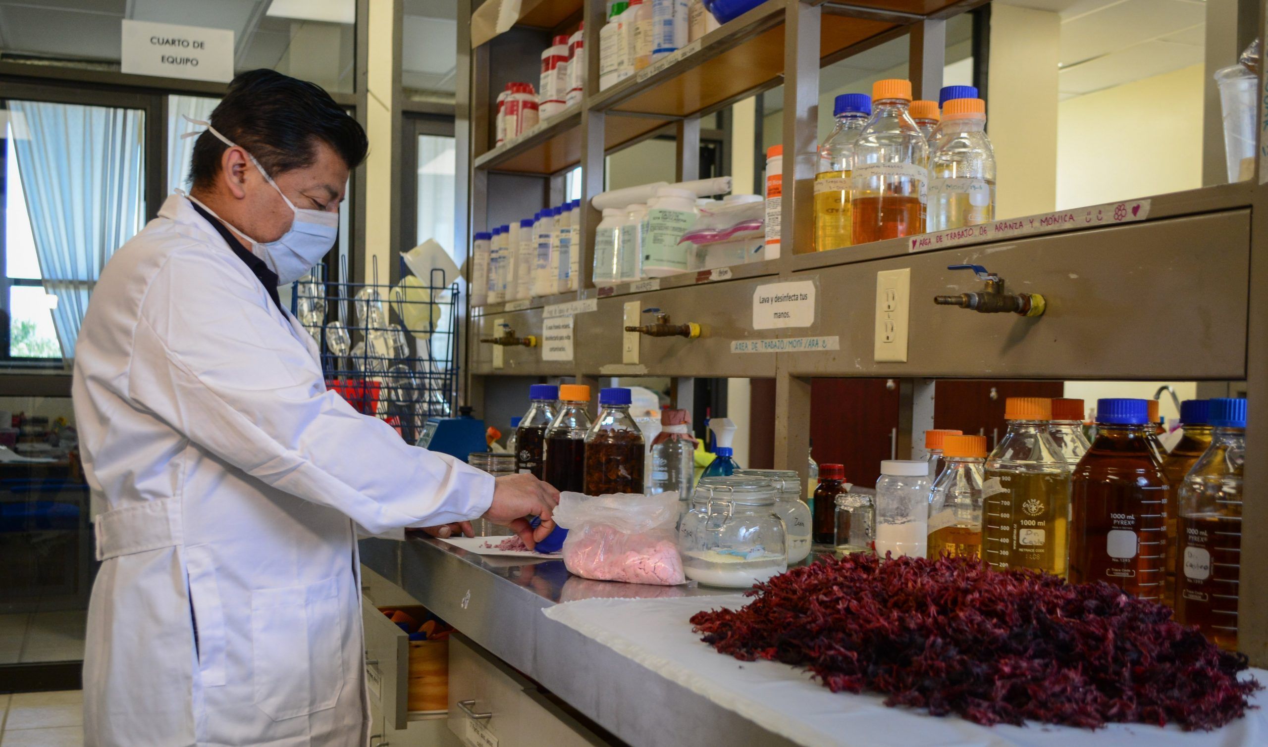 Obtiene la UAEH su primera patente internacional con flor de jamaica