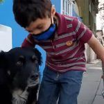 VIDEO: Reporterito entrevista a los perros de la calle