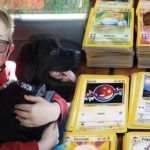 Niño vende sus cartas de Pokemón para salvar a su perrito