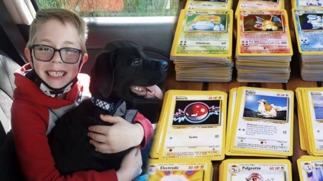 Niño vende sus cartas de Pokemón para salvar a su perrito