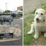 Ponen estatua a perro que salvó a niños de ataque