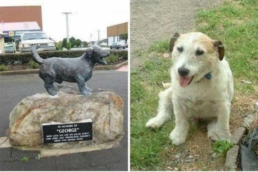 Ponen estatua a perro que salvó a niños de ataque