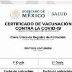 Descarga tu certificado de vacunación Covid-19 a través de WhatsApp