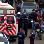 Pican abejas a varias personas en la Central de Abastos de Pachuca