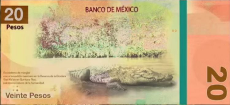 ¡Ya no más confusiones! Alistan el nuevo billete de 20 pesos