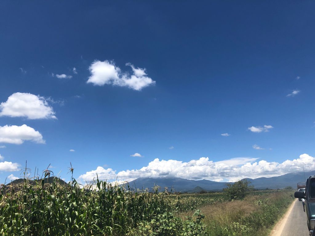 Calpan, Puebla es el lugar de donde salen los ingredientes para uno de los platillos más peculiares de la gastronomía mexicana: los chiles en nogada.