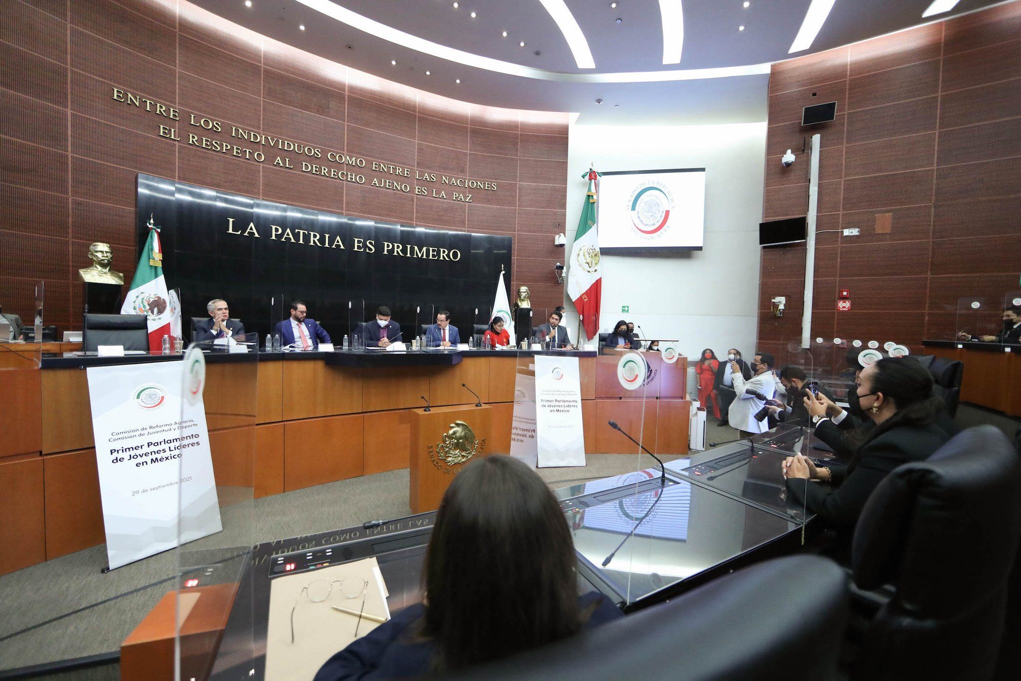 Analizan en Senado el seguro de desempleo por Covid-19