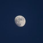 Luna de Nieve