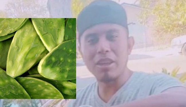 “Al comer nopales parecen animales”, dice sujeto sobre mexicanos