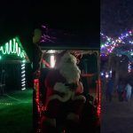 No te pierdas el Bosque Iluminado en Pachuca: fechas y boletos