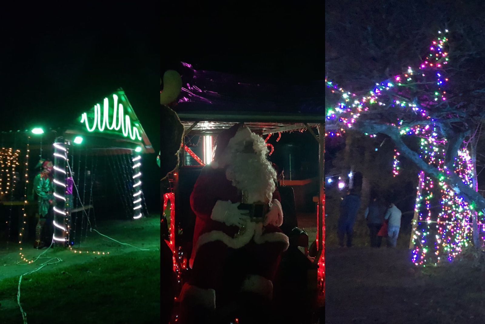 No te pierdas el Bosque Iluminado en Pachuca: fechas y boletos