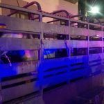 Por robar caballos, detienen a 7 personas en Pachuca