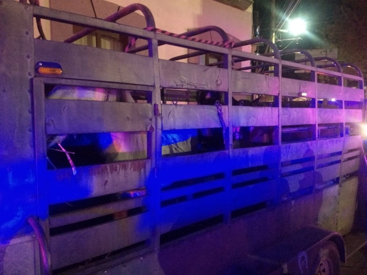 Por robar caballos, detienen a 7 personas en Pachuca