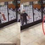Evidencian a repartidor que aventó paquete a una casa: era una laptop