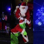 Vive la magia navideña en el bosque de El Cedral