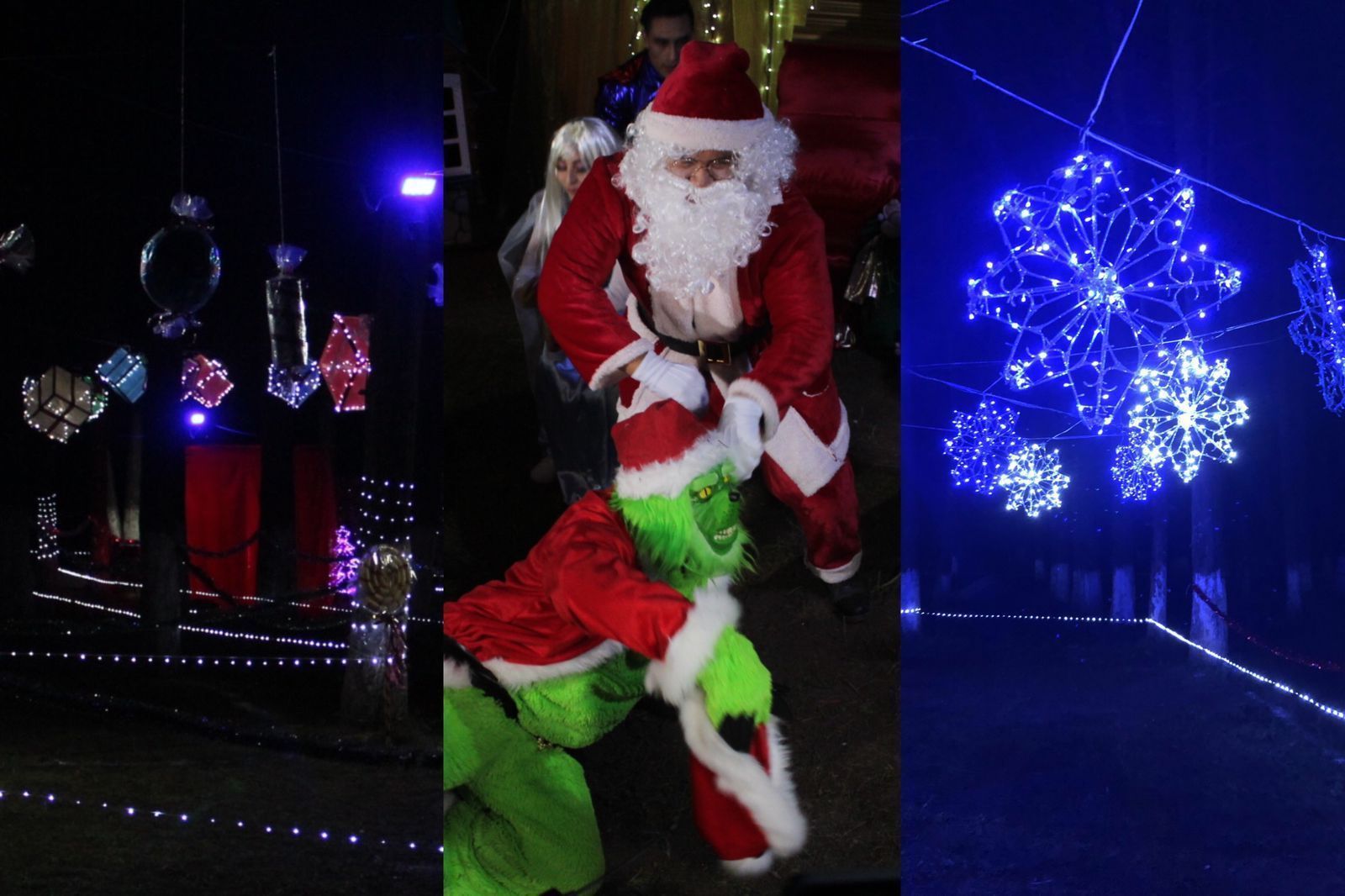 Vive la magia navideña en el bosque de El Cedral