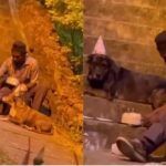 El video que ha enternecido a internet: celebra cumpleaños a perritos