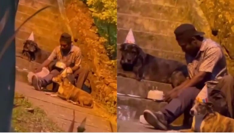 El video que ha enternecido a internet: celebra cumpleaños a perritos