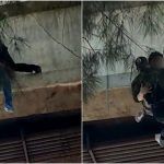 VIDEO Policía salva la vida de joven que quería suicidarse en la CDMX