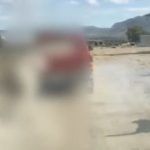 Rescatan a burro maltratado en Zempoala; continúan investigaciones