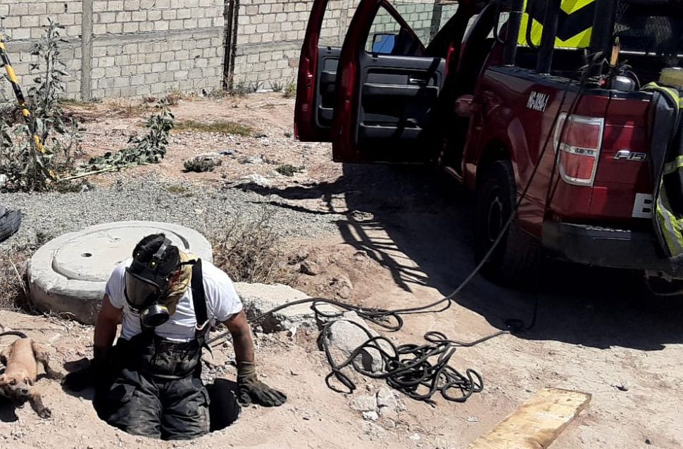 Rescatan a perrito que cayó al drenaje, en Pachuca