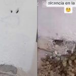 Una mujer utiliza pared como alcancía: así sacó el dinero