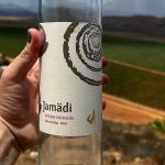 Conoce el primer viñedo en Hidalgo: El Refugio