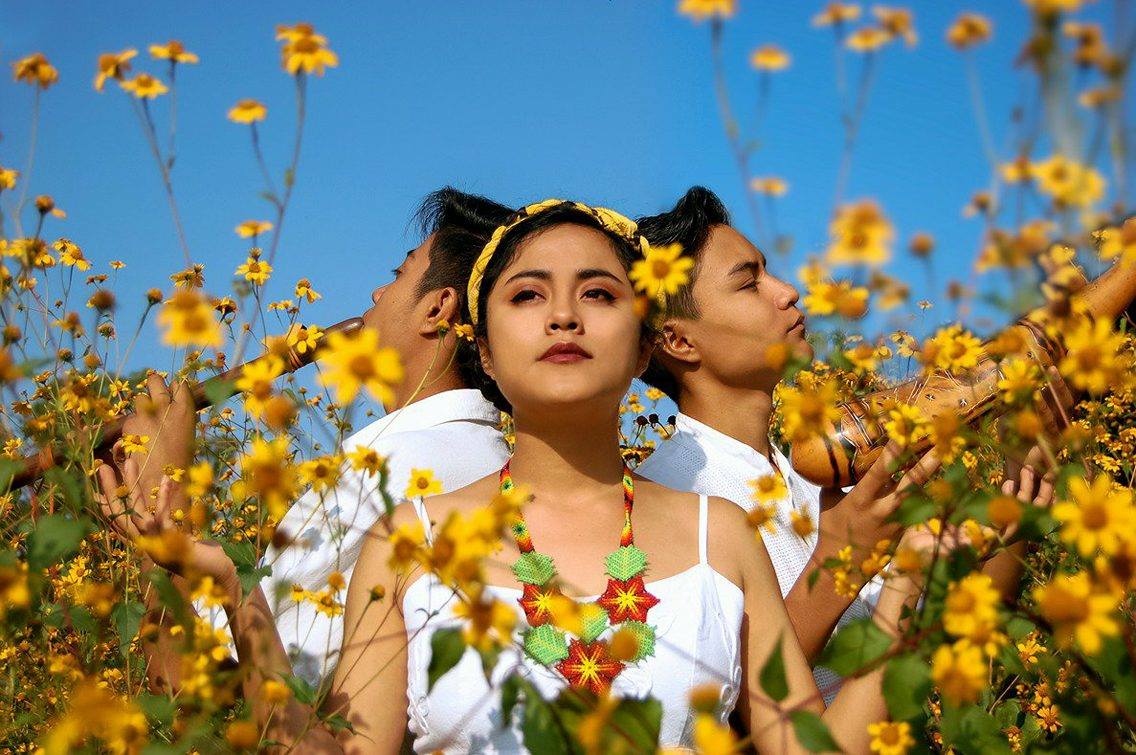 Llega a Hidalgo festival musical Raíz México Zona Centro
