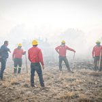Mantiene Semarnath estrategias para evitar incendios forestales en Hidalgo