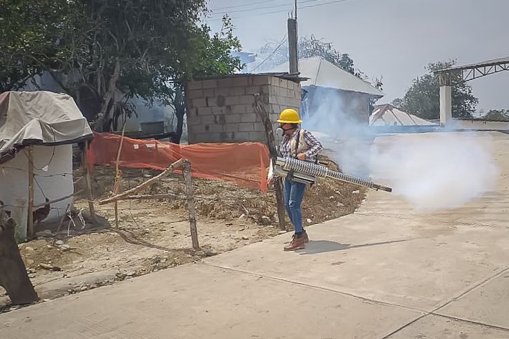 Esta semana, Segunda Jornada Nacional de Lucha contra el Dengue