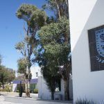 Tres universidades de Hidalgo entre las mejores del país